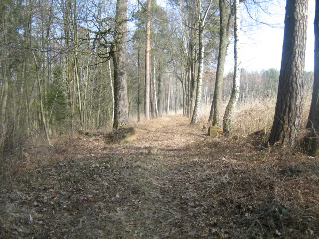 Czyn Wędkarski